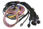 Haltech Nexus R5 VCU + Universal Wire-in Harness Kit Length: 5m (16')