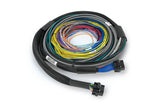 Haltech Nexus S2 + Universal Wire-in Harness - 2.5m (8')